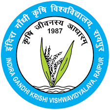 CG IGKV Jashpur Vacancy 2025